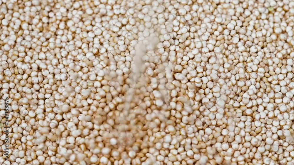 Quinoa uncooked, texture macro. Selective focus. Slow motion Quinoa uncooked, texture macro. Selective focus. Slow motion