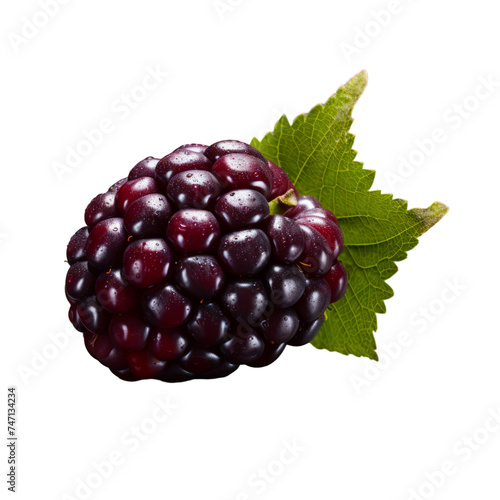 boysenberry isolated on transparent background, png