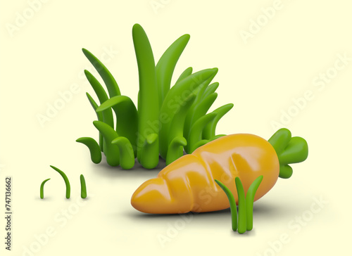 Realistic whole carrot lies in green grass. Orange crunchy vegetable