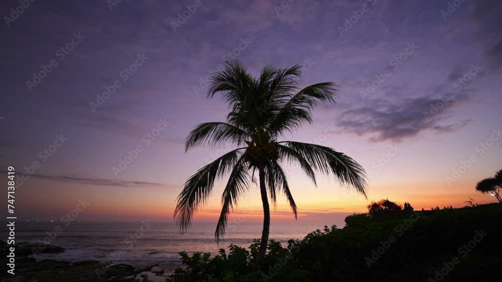 A coconut tree and the setting sun in the background A coconut tree and the setting sun in the background