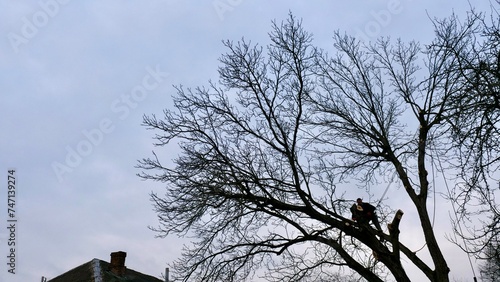 A professional arborist cuts a tree branch with a chainsaw in winter. A man on insurance with a helmet, cuffs. Vertical