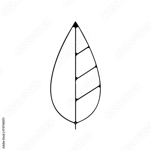 Icones symbole logo feuille arbre culture nature fin