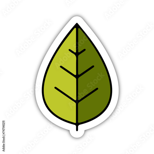 Icones symbole logo feuille arbre detail couleur relief