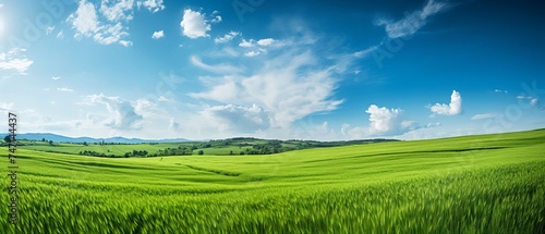 panorama of green hills at sunny day