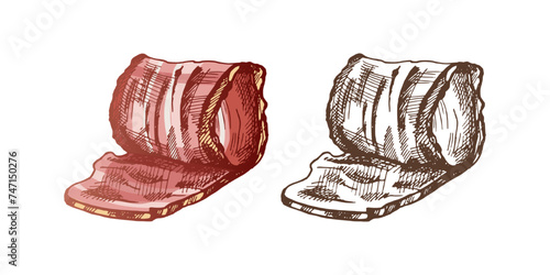 Hand-drawn colored and monochrome vector sketch of hamon or pork meat, ham slice. Italian prosciutto vintage sketch. Butcher shop. Great for label, restaurant menu. Engraved image.