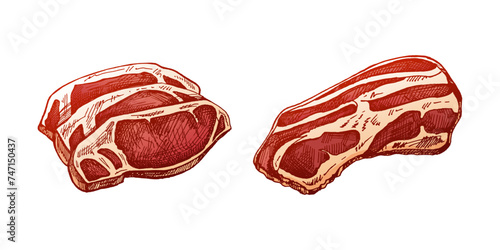 Organic food. Hand-drawn colored vector sketch of grilled beef steak, pieces of meat. Doodle vintage illustration. Decorations for the menu of cafes and labels. Engraved image.