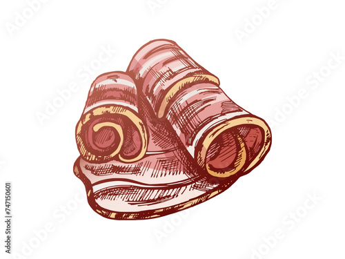 Hand-drawn colored vector sketch of hamon or pork meat, ham slice. Italian prosciutto vintage sketch. Butcher shop. Great for label, restaurant menu. Engraved image.