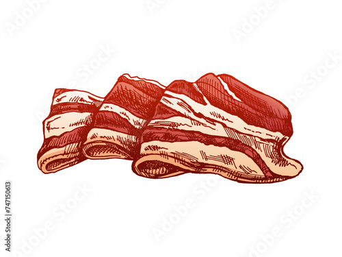 Hand-drawn colored vector sketch of hamon or pork meat, ham slice. Italian prosciutto vintage sketch. Butcher shop. Great for label, restaurant menu. Engraved image. photo