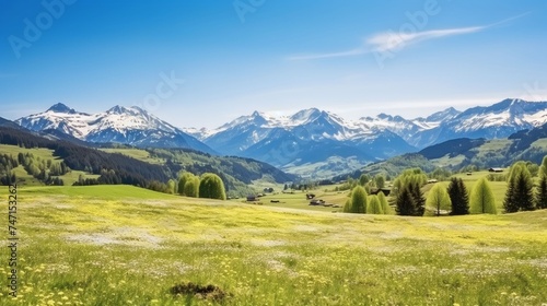 Green grass field on small hills and blue sky with clouds with snow mountain 