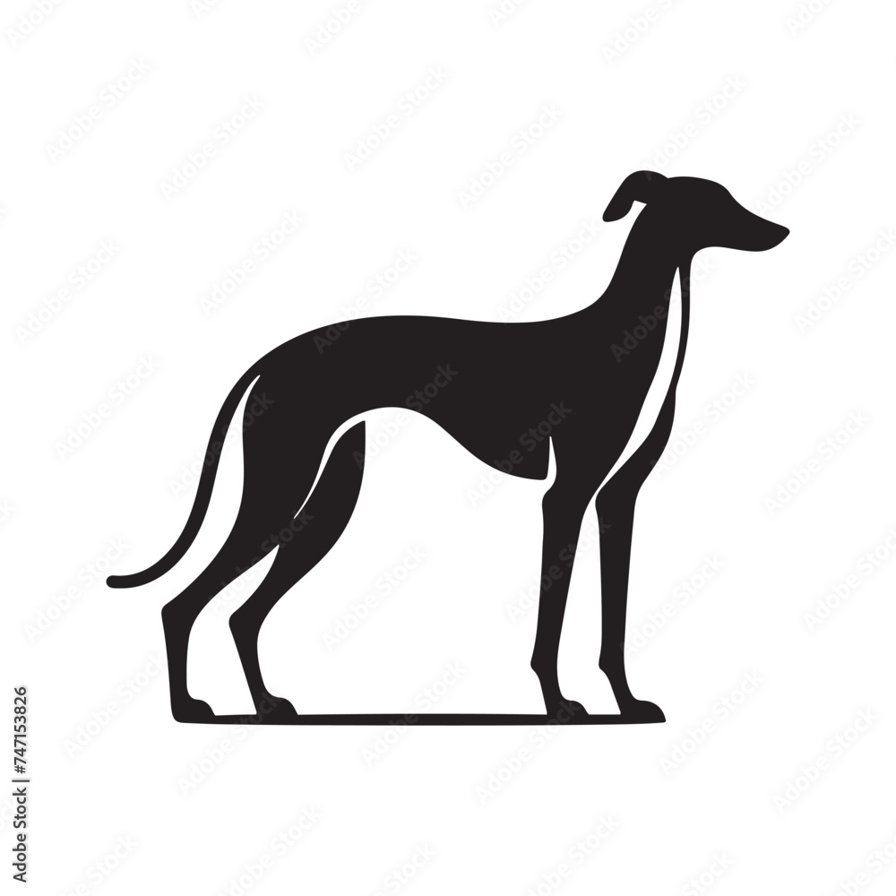 Obraz premium Elegant Grace: Vector Greyhound Silhouette - Capturing the Majestic Beauty and Graceful Form of this Iconic Canine Breed.