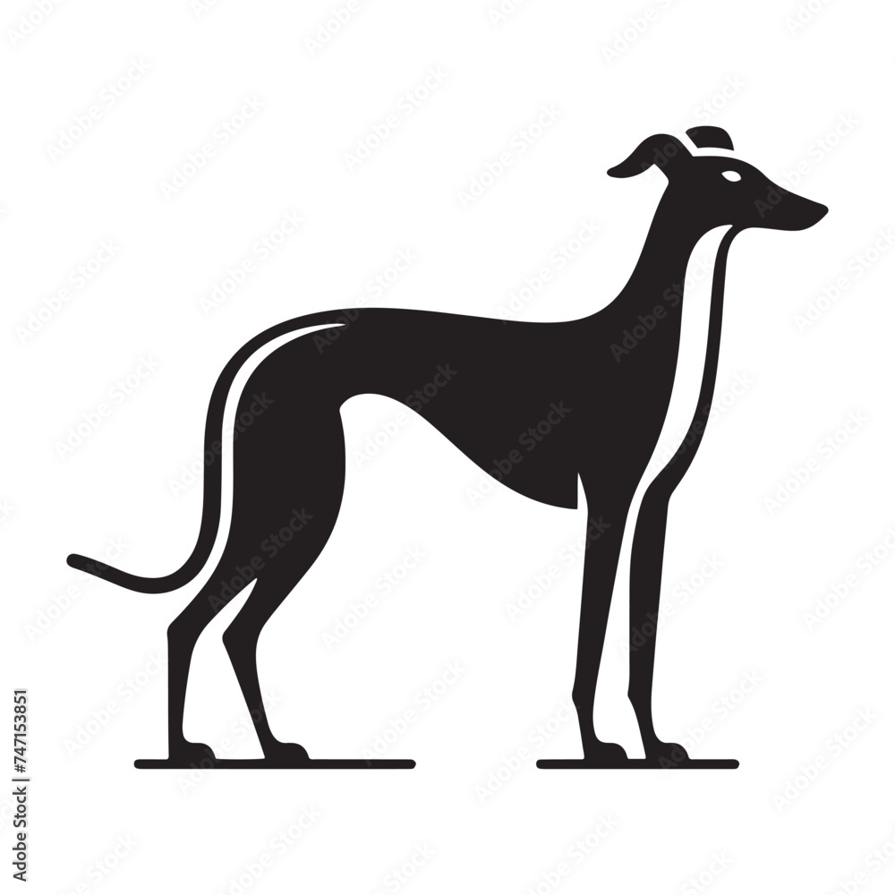 Obraz premium Elegant Grace: Vector Greyhound Silhouette - Capturing the Majestic Beauty and Graceful Form of this Iconic Canine Breed.