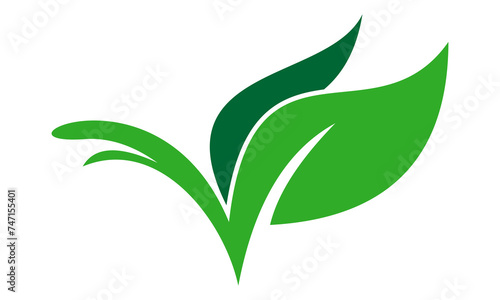 plant leaf ecology vector logo