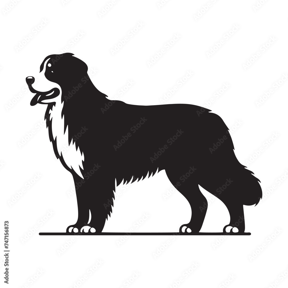 Bernese Mountain Dog Silhouette: A Majestic Tribute to the Strength, Loyalty, and Beauty of this Beloved Canine Companion. Vector Bernese Mountain Dog Silhouette.