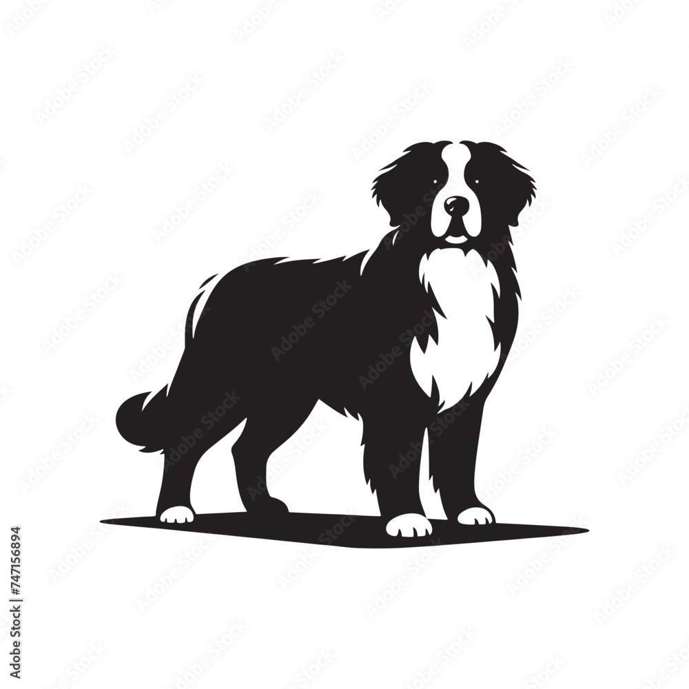 Bernese Mountain Dog Silhouette: A Majestic Tribute to the Strength, Loyalty, and Beauty of this Beloved Canine Companion. Vector Bernese Mountain Dog Silhouette. - obrazy, fototapety, plakaty 
