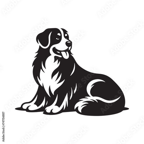 Bernese Mountain Dog Silhouette: A Majestic Tribute to the Strength, Loyalty, and Beauty of this Beloved Canine Companion. Vector Bernese Mountain Dog Silhouette.