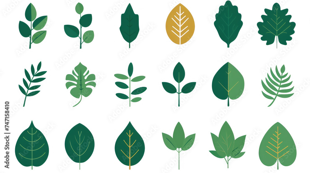 Diverse assortment of different types of leaves