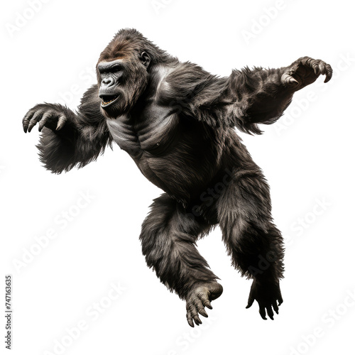 kingkong looking isolated on white