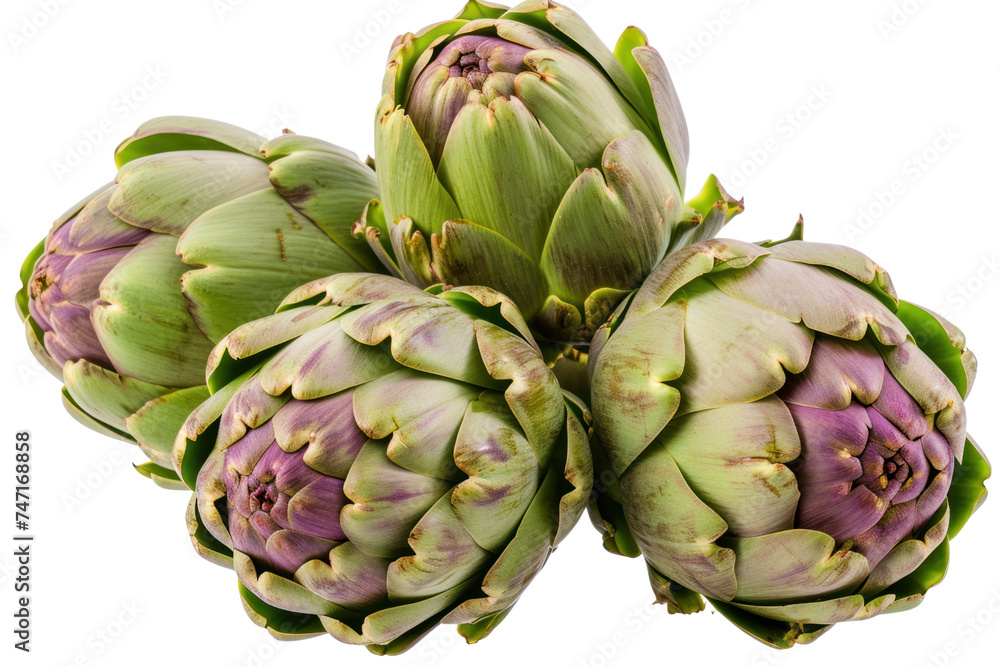 Fototapeta premium Fresh artichokes. Artichoke ingredients isolated on transparent background.