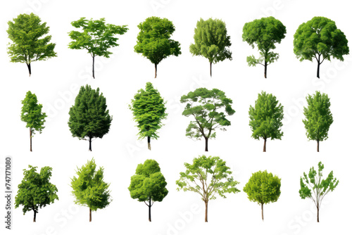 Set of green trees isolated on whiteisolated on transparent and white background.PNG image.