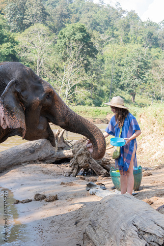 Photography Female showering an elephant on the riverside