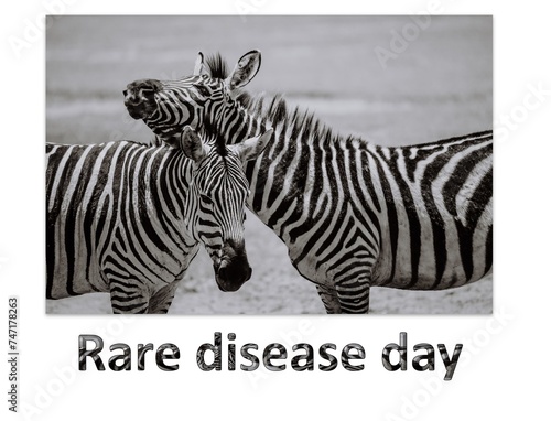 Rare Disease Day, Zebra, February