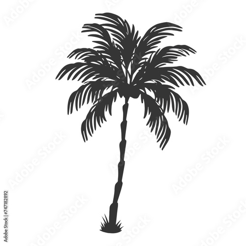 Monocrhome palm tree shiloutte vector