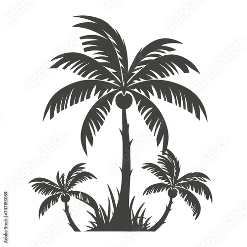 Monocrhome palm tree shiloutte vector