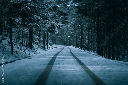 Road through a snowy forest with car wheel marks in the snow © Dani Palazón