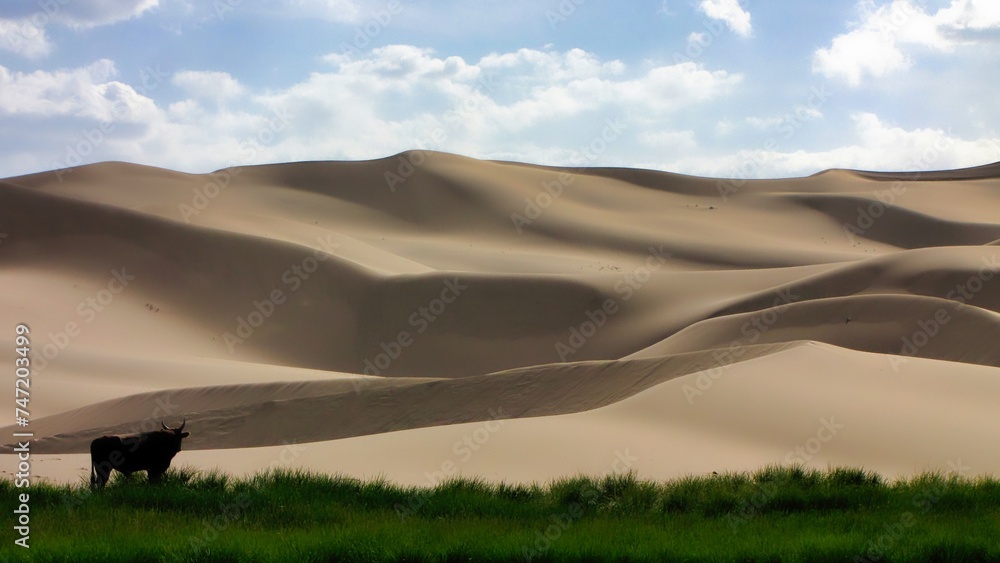 Obraz premium Southern Mongolia