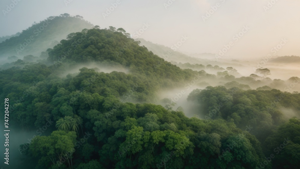 Beautiful foggy morning light Landscape in the jungle. Aerial drone top view Beautiful foggy morning light Landscape in the jungle. Aerial drone top view