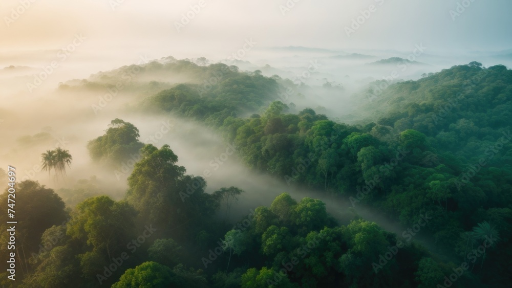 Beautiful foggy morning light Landscape in the jungle. Aerial drone top view Beautiful foggy morning light Landscape in the jungle. Aerial drone top view