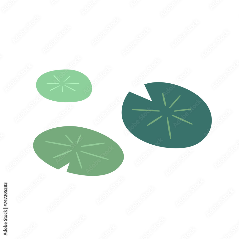 Lily pad icon. Lily cartoon vector on white background. Lily pad icon. Lily cartoon vector on white background.