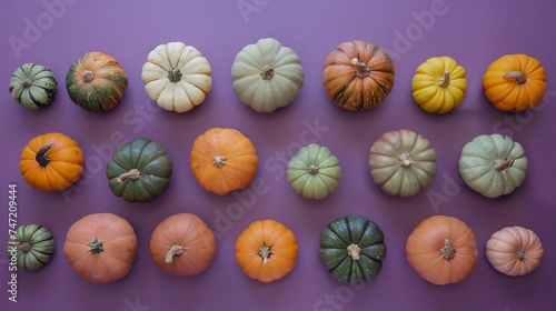 Pumpkin Patch A Monthly Celebration of Fall's Favorite Fruit Generative AI
