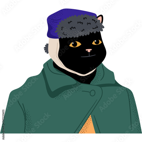 Black Cat with Bandaged Ear