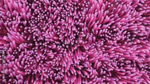 3d render of pink algae anemones swaying underwater