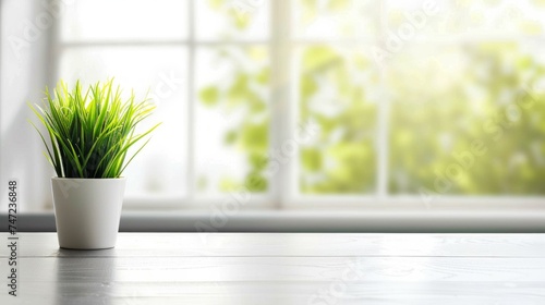 A vibrant green indoor plant in a sleek white pot placed on a wooden table against a bright window. © tashechka