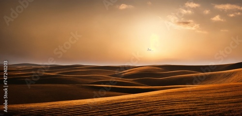 sunset in the desert minimalist