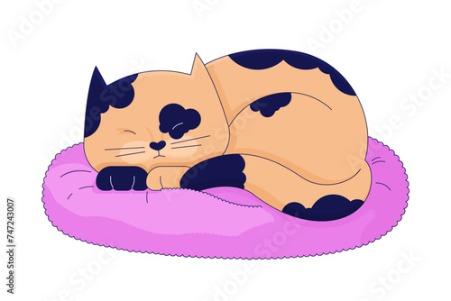 Lazy spotted cat sleeping on pillow 2D linear cartoon character. Cute kitten isolated line vector animal white background. Comfortable pet. Adorable kitty laying down color flat spot illustration