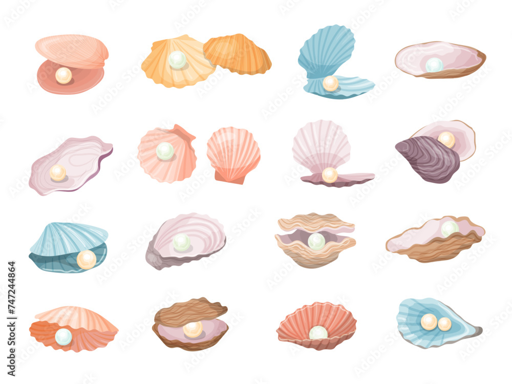 Natural pearl. Aquatic seashell with pearls recent vector luxury beautiful jewelry Natural pearl. Aquatic seashell with pearls recent vector luxury beautiful jewelry