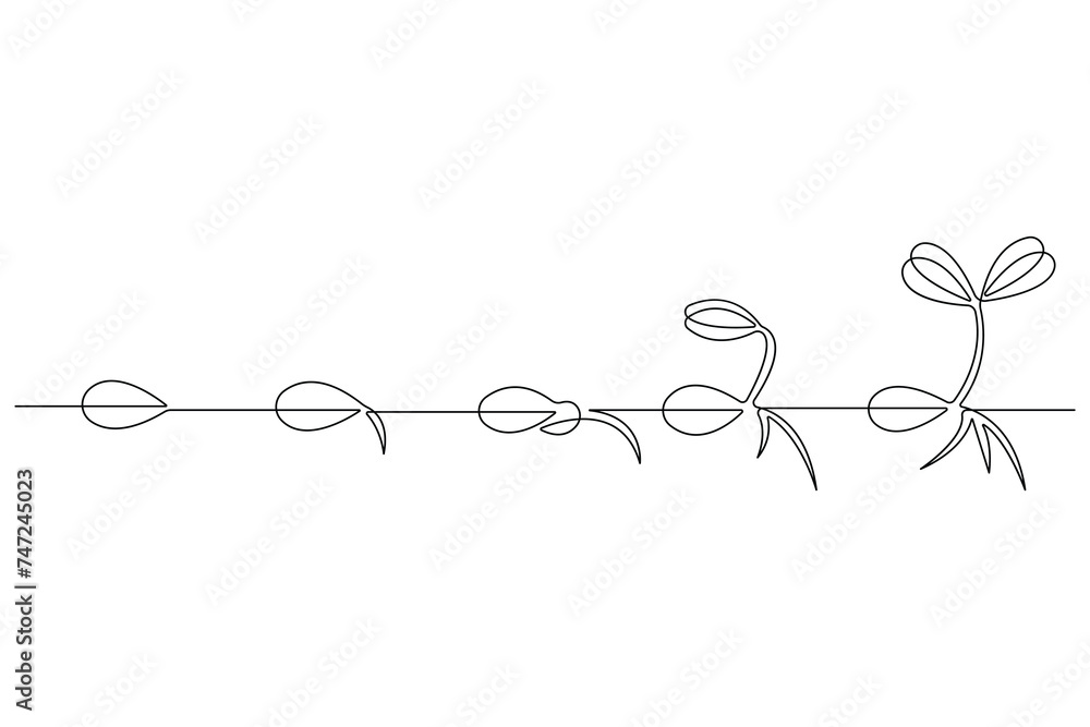 Continuous single line art drawing of plant growth processing from seed outline vector Continuous single line art drawing of plant growth processing from seed outline vector