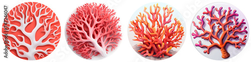 Coral clipart collection  vector  icons isolated on transparent background