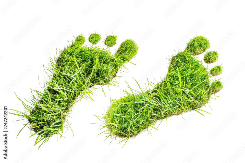 Footprint made of lush green grass isolated on white background, ecological footprint concept Footprint made of lush green grass isolated on white background, ecological footprint concept
