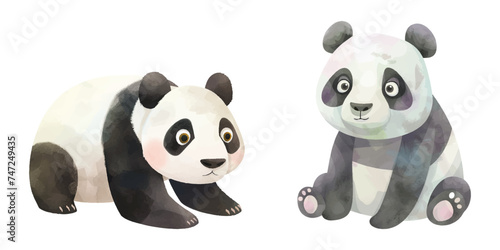 ute panda watercolour vector illustration