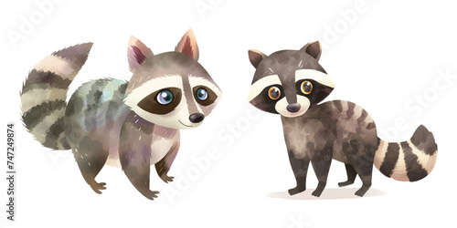 cute raccoon watercolour vector illustration