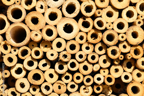 Bee house or insect house made from bamboo