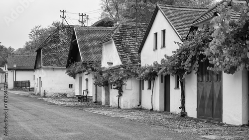 Kellergasse in Hadres   Niederösterreich © franke 182