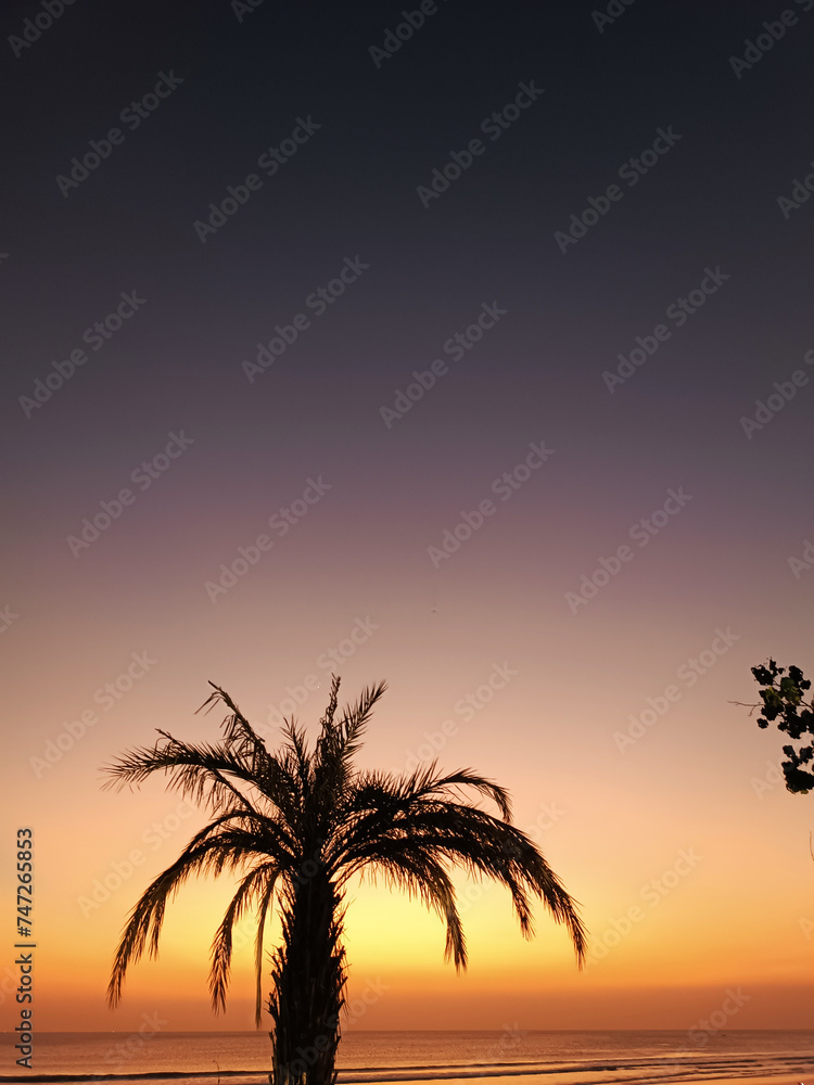 Sunset sky on the background of a palm tree. Beautiful nature background
