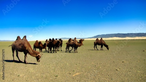 Southern Mongolia