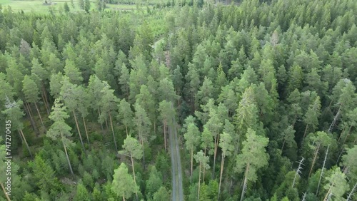 Drohnenflug über schwedischen Wald photo