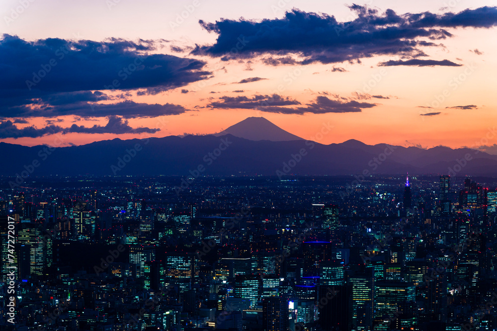 Tokyo city view from high tower, including Fuji mountain